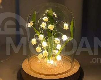 მანათობელი ყვავილები თბილისი - photo 1