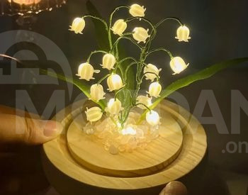 მანათობელი ყვავილები თბილისი - photo 3