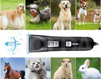 Dog grooming Tbilisi - photo 1