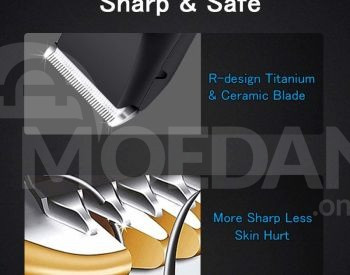 Dog grooming Tbilisi - photo 3