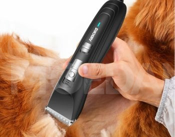 Dog grooming Tbilisi - photo 2