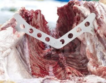 A set of knives Tbilisi - photo 4