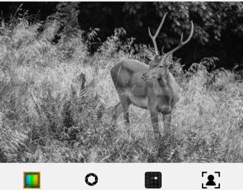 სათვალთვალო ვიდეო კამერა თბილისი - photo 6