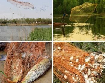 Shooting grid Tbilisi - photo 2