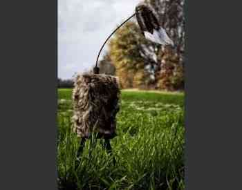 Tour fox bait, horn Tbilisi