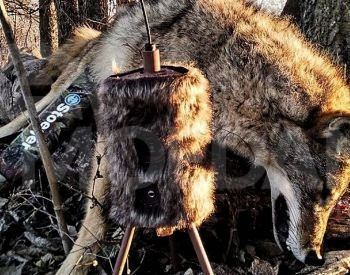 ტურის მელას სატყუარა, საყვირი თბილისი - photo 4