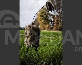 ტურის მელას სატყუარა, საყვირი თბილისი - photo 2