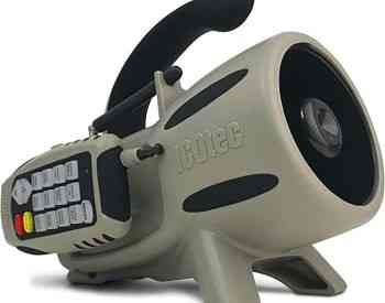 Tour horn bait Tbilisi