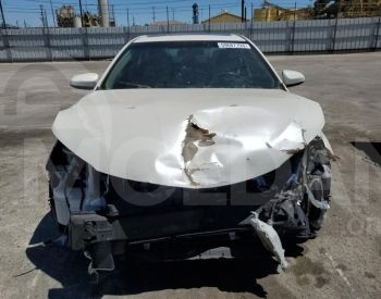  თბილისი - photo 4