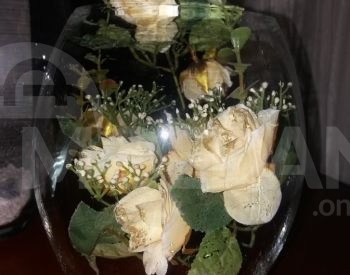 იყიდება ვაზები თბილისი - photo 1