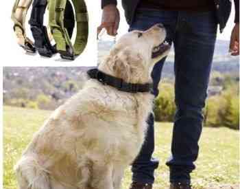 ძაღლის საბელი ტაქტიკური საყელო ღვედი Тбилиси