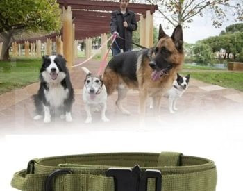 Dog sable tactical collar belt Tbilisi - photo 5