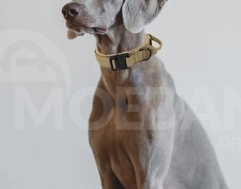 Dog sable tactical collar belt Tbilisi - photo 8