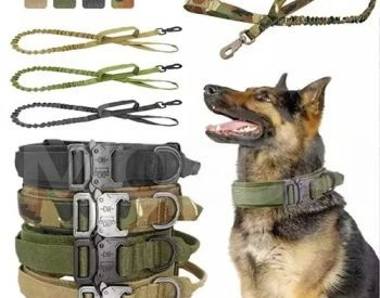 Dog sable tactical collar belt Tbilisi - photo 1