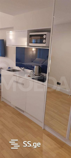 ქირავდება 1 ოთახიანი ბინა 30მ² 8/52 სართ თბილისი - photo 5