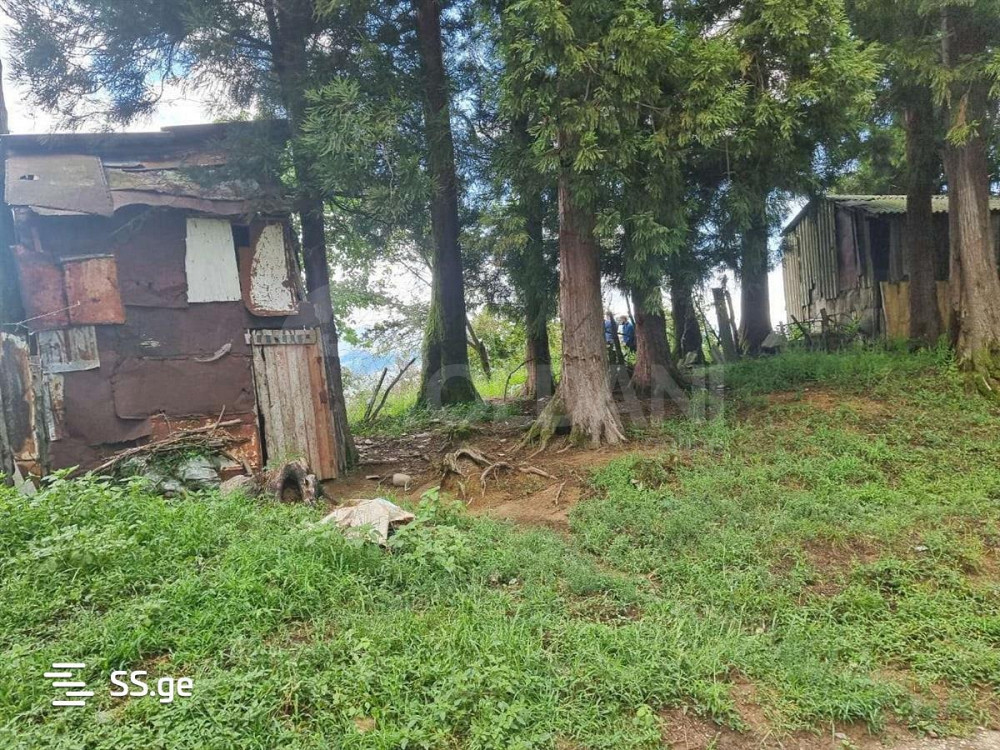 Продам земельный участок 1622м² Тбилиси - изображение 2