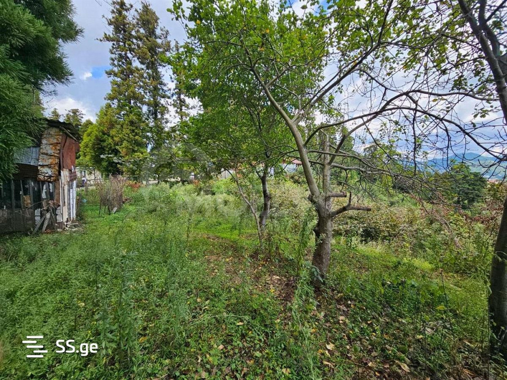 Продам земельный участок 1622м² Тбилиси - изображение 5