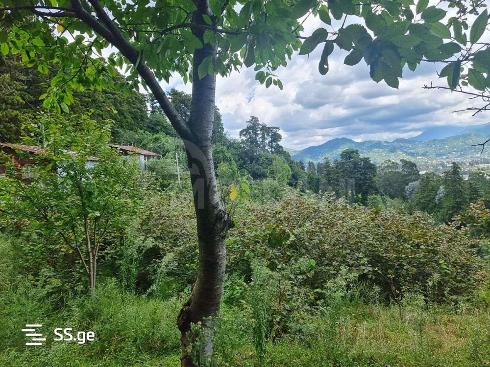 Продам земельный участок 1622м² Тбилиси - изображение 4