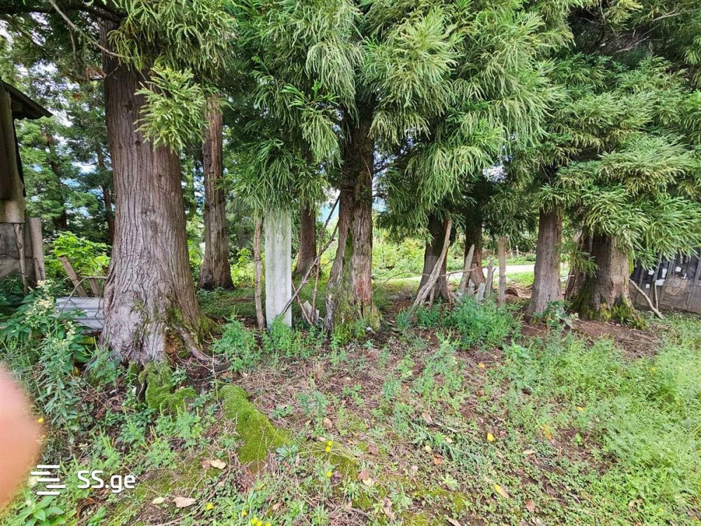 Продам земельный участок 1622м² Тбилиси - изображение 6