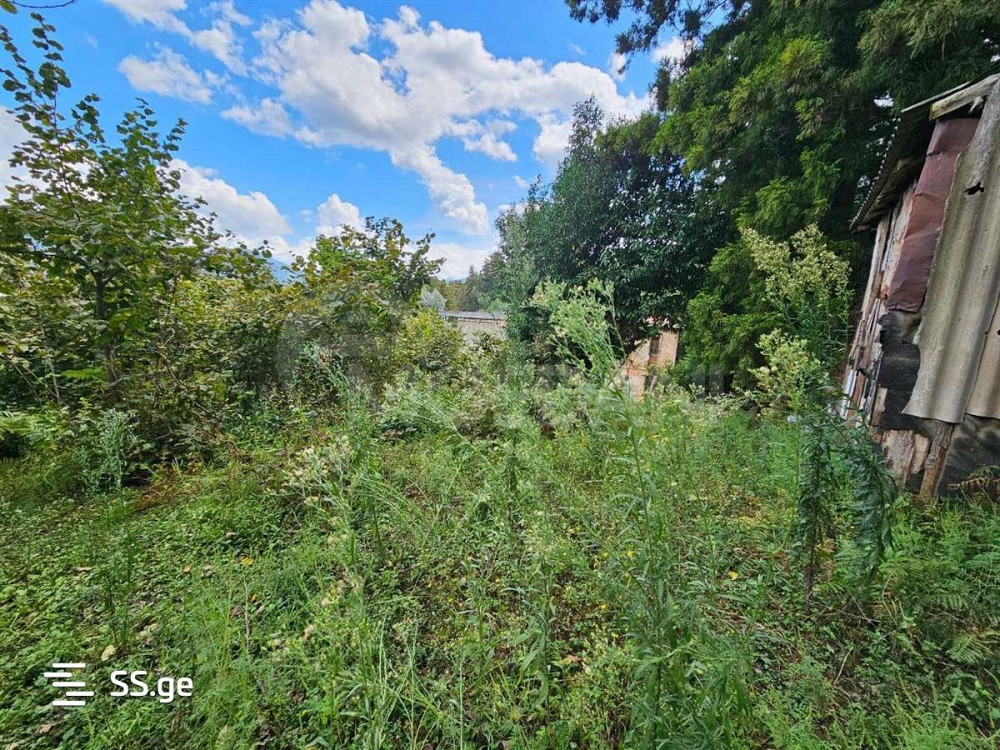 Продам земельный участок 1622м² Тбилиси - изображение 7