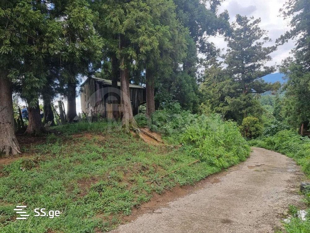 Продам земельный участок 1622м² Тбилиси - изображение 8