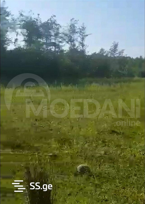 Продам земельный участок 1000м² Тбилиси - изображение 1