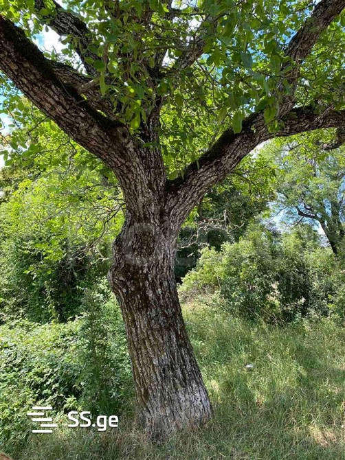 Apartments For Sale two-room 40м² 1/3 floor Tbilisi - photo 8