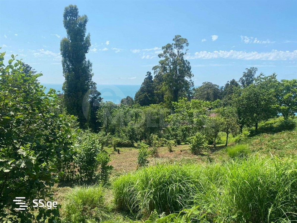 იყიდება მიწის ნაკვეთი 4993м² თბილისი - photo 3