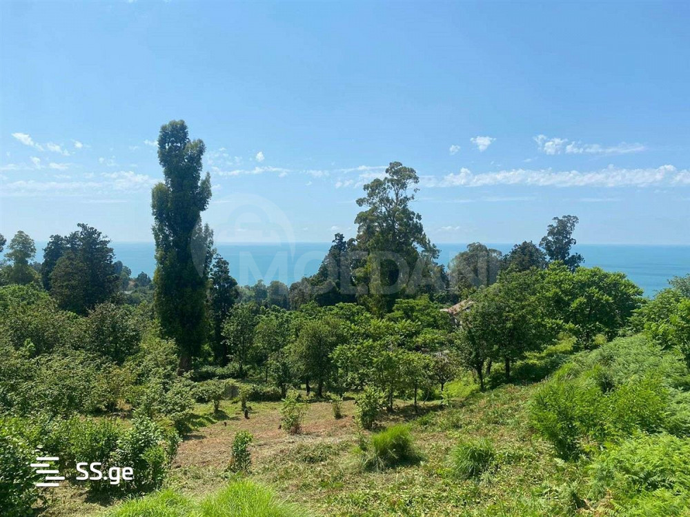 იყიდება მიწის ნაკვეთი 4993м² თბილისი - photo 2