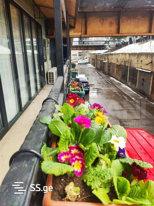 Продается офисное помещение в Ваке Тбилиси - изображение 5