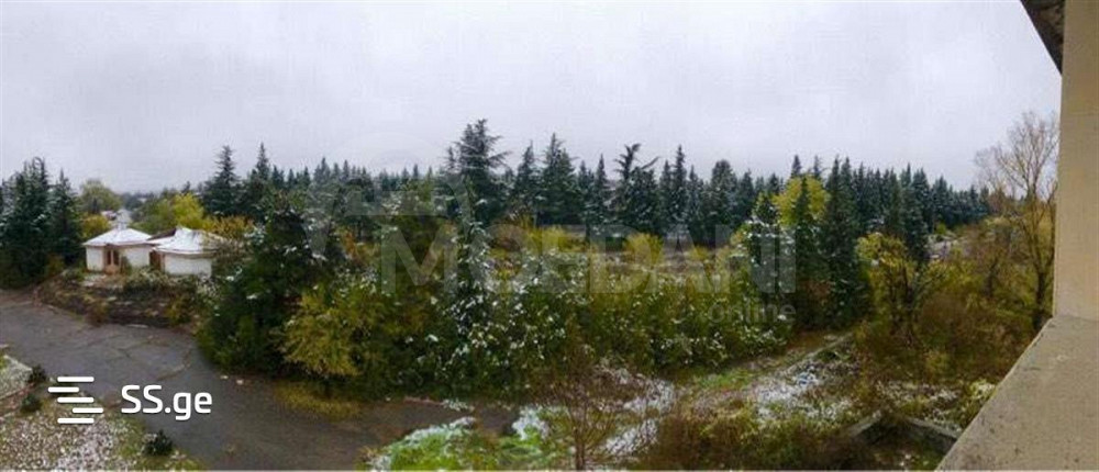 Продается коммерческое помещение в Сагареджо Тбилиси - изображение 5