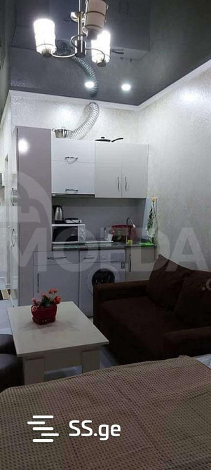 Apartments For Rent one-room 30м² 3/14 floor Tbilisi - photo 6