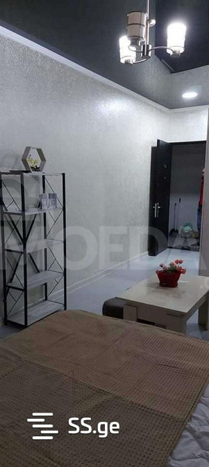 Apartments For Sale two-room 60м² 4/19 floor Tbilisi - photo 8