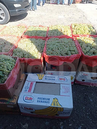 Kakhuri grapes of the highest quality with local delivery Tbilisi - photo 1