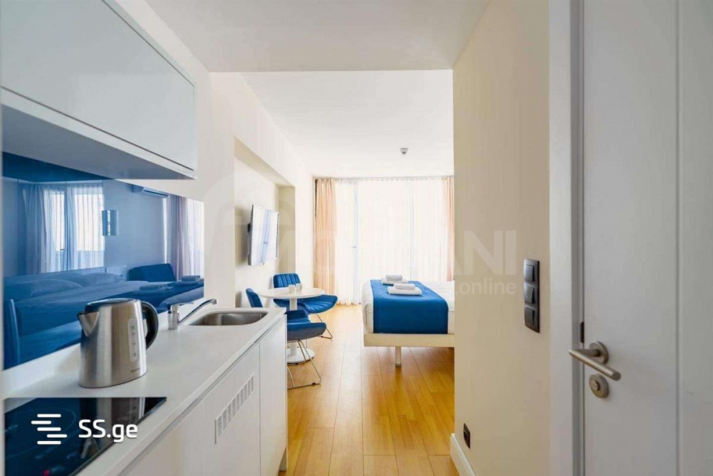 Apartments For Rent one-room 33м² 31/41 floor Tbilisi - photo 3
