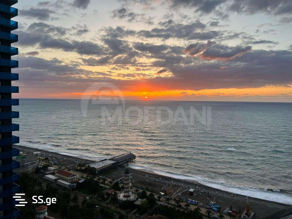 Apartments For Rent one-room 33м² 31/41 floor Tbilisi - photo 4