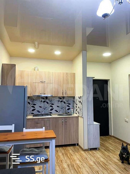 Apartments For Rent two-room 43м² 18/20 floor Tbilisi - photo 2