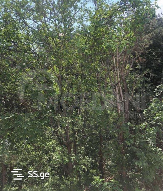 Продам 3-комн. квартиру 85м² 6/14 эт. Тбилиси - изображение 7