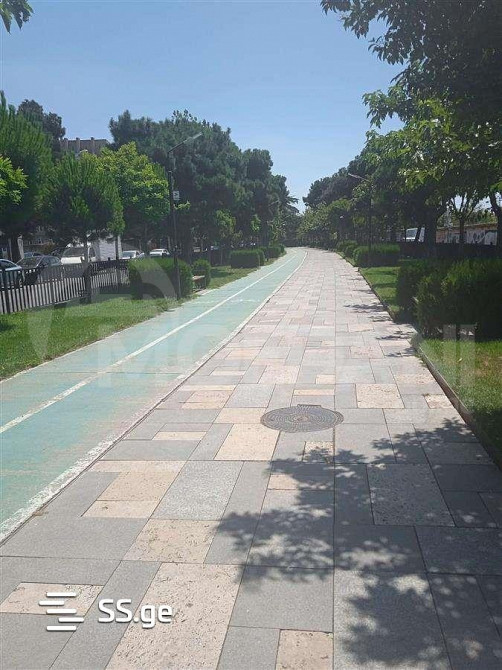 Apartments For Sale two-room 51.7м² 11/12 floor Tbilisi - photo 4