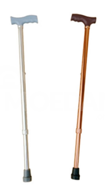 cane Tbilisi - photo 1