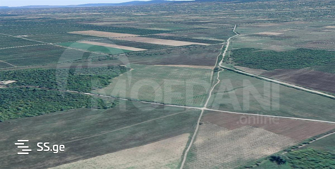 A plot of land in Telavi is for sale Tbilisi - photo 1