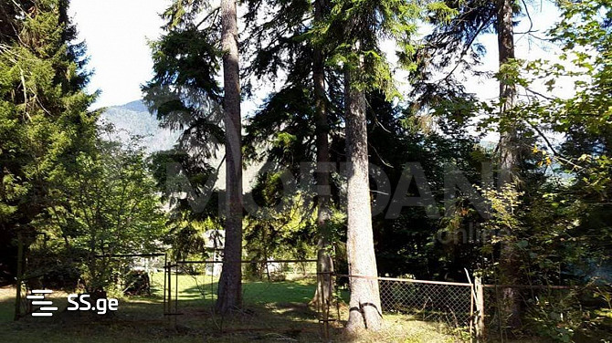 A plot of land in Tsem is for sale Tbilisi - photo 2