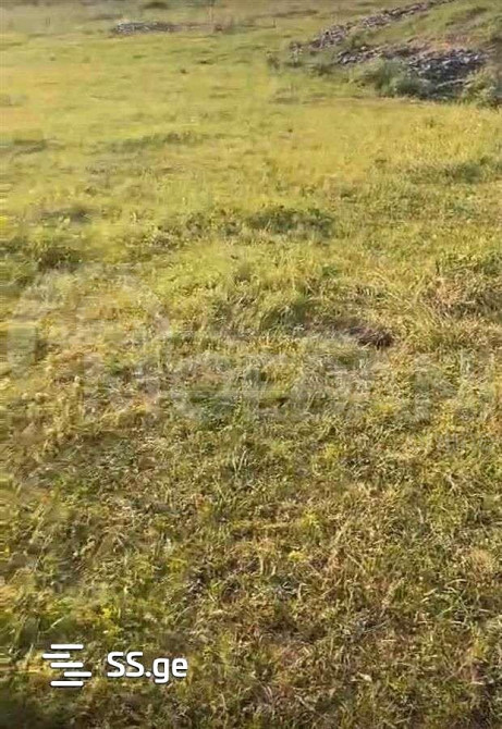 Продам земельный участок 992м² Tbilisi - photo 1