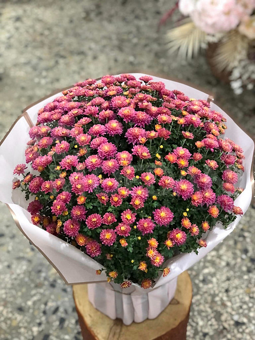 Autumn queens Tbilisi - photo 2