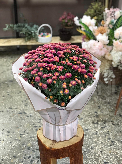 Autumn queens Tbilisi - photo 3