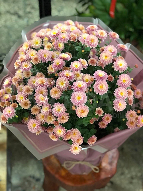 Autumn queens Tbilisi - photo 3