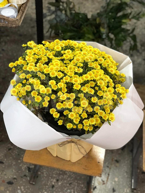 Autumn queens Tbilisi - photo 1