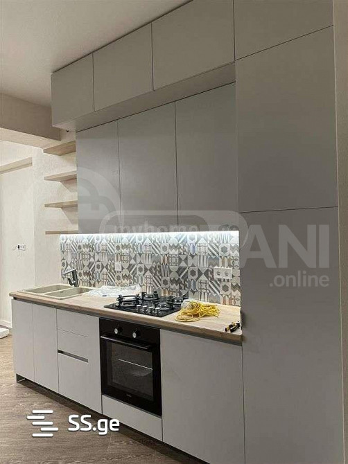 Apartments For Sale two-room 66м² 2/13 floor Tbilisi - photo 4