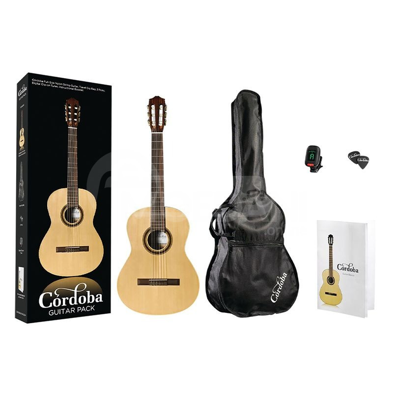Classical guitar Cordoba CP100 Guitar Pack Tbilisi - photo 1