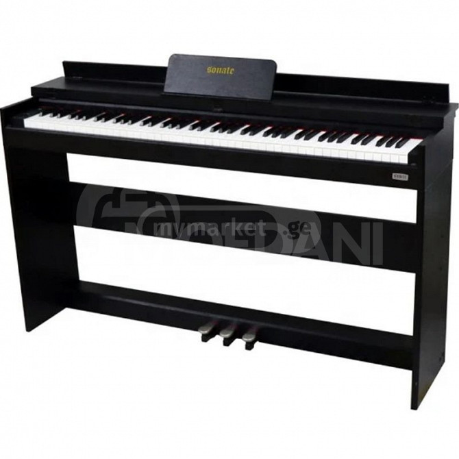 Electric piano Sonate BL-813 Black Tbilisi - photo 2